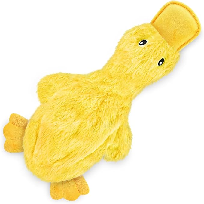 Interactive Squeaky Dog Chew Toy
