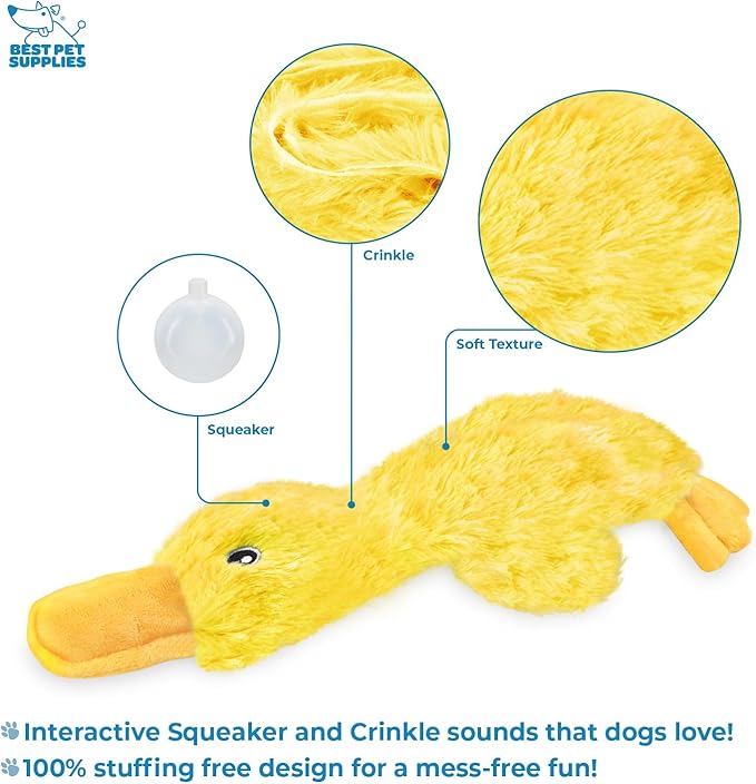 Interactive Squeaky Dog Chew Toy