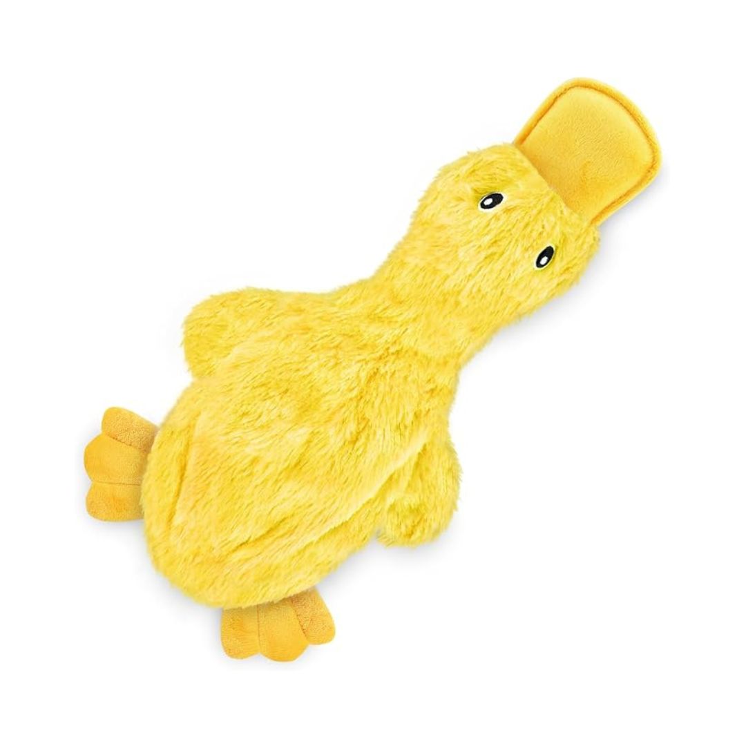 Interactive Squeaky Dog Chew Toy — Durable Play Toy for Dogs